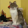 Отзыв от Софья Фокина